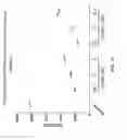 Fig. 13 - Chimeric clotting factors