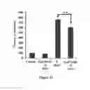 Fig. 22 - Galvanotaxis assay for quantitative assessment of the metastatic potential of cancer cells
