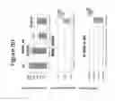 Fig. 91 - METHODS FOR ISOLATING MICROVESICLES
