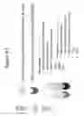 Fig. 93 - METHODS FOR ISOLATING MICROVESICLES
