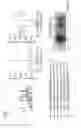 Fig. 09 - Method for Identifying RNA Segments Bound by RNA-Binding Proteins or Ribonucleoprotein Complexes