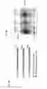 Fig. 12 - Method for Identifying RNA Segments Bound by RNA-Binding Proteins or Ribonucleoprotein Complexes