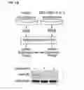Fig. 41 - Method for Identifying RNA Segments Bound by RNA-Binding Proteins or Ribonucleoprotein Complexes