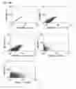 Fig. 43 - Method for Identifying RNA Segments Bound by RNA-Binding Proteins or Ribonucleoprotein Complexes