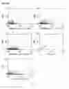 Fig. 46 - Method for Identifying RNA Segments Bound by RNA-Binding Proteins or Ribonucleoprotein Complexes