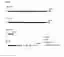 Fig. 90 - Method for Identifying RNA Segments Bound by RNA-Binding Proteins or Ribonucleoprotein Complexes