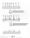 Fig. 04 - Polynucleotide modification on solid support