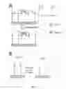 Fig. 14 - Polynucleotide modification on solid support