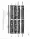 Fig. 40 - Polynucleotide modification on solid support
