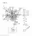 Fig. 03 - Methods of treating a metabolic syndrome by modulating heat shock protein (HSP) 90-beta