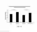 Fig. 15 - Methods of treating a metabolic syndrome by modulating heat shock protein (HSP) 90-beta