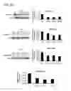 Fig. 52 - Methods of treating a metabolic syndrome by modulating heat shock protein (HSP) 90-beta