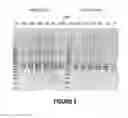 Fig. 06 - Antisense oligonucleotides for inducing exon skipping and methods of use thereof