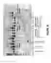 Fig. 11 - Antisense oligonucleotides for inducing exon skipping and methods of use thereof