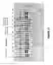 Fig. 14 - Antisense oligonucleotides for inducing exon skipping and methods of use thereof