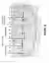 Fig. 16 - Antisense oligonucleotides for inducing exon skipping and methods of use thereof