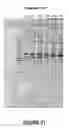 Fig. 22 - Antisense oligonucleotides for inducing exon skipping and methods of use thereof