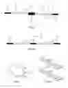 Fig. 03 - FUNCTIONAL LIGANDS TO TARGET MOLECULES
