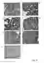 Fig. 12 - Compositions and methods for inhibiting expression of a target gene