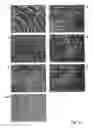 Fig. 13 - Compositions and methods for inhibiting expression of a target gene