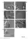 Fig. 14 - Compositions and methods for inhibiting expression of a target gene