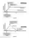 Fig. 05 - Growth arrested cells useful for producing compounds