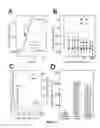 Fig. 06 - Growth arrested cells useful for producing compounds