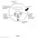 Fig. 04 - VECTORS FOR USE IN AN INDUCIBLE COEXPRESSION SYSTEM