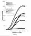 Fig. 07 - VECTORS FOR USE IN AN INDUCIBLE COEXPRESSION SYSTEM