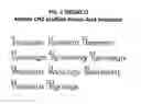Fig. 02 - Fusion proteins comprising immunoglobulin constant domain-derived scaffolds