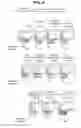 Fig. 09 - Fusion proteins comprising immunoglobulin constant domain-derived scaffolds