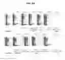 Fig. 10 - Fusion proteins comprising immunoglobulin constant domain-derived scaffolds