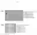 Fig. 17 - METHOD FOR TRANSFORMING STRAMENOPILE