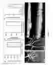 Fig. 09 - METHOD FOR MODULATING PLANT ROOT ARCHITECTURE