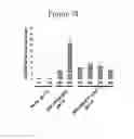 Fig. 08 - TRANSGENIC PLANTS
