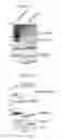 Fig. 14 - TRANSGENIC PLANTS