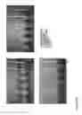 Fig. 20 - TRANSGENIC PLANTS