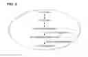 Fig. 03 - Mutants having capability to produce 1, 4-butanediol and method for preparing 1, 4-butanediol using the same
