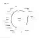 Fig. 35 - Biological methods for preparing a fatty dicarboxylic acid