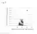 Fig. 03 - Microorganism producing docosahexaenoic acid and utilization thereof