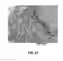 Fig. 29 - Processing biomass