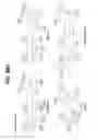 Fig. 50 - Processing biomass