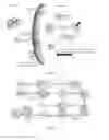 Fig. 02 - MICRO-EVOLUTION OF MICROBES