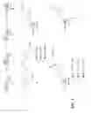 Fig. 04 - Methods for assaying alpha-L-iduronidase enzymatic activity