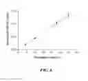 Fig. 07 - Methods for assaying alpha-L-iduronidase enzymatic activity