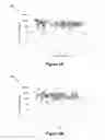 Fig. 04 - SAMPLE PREPARATION FOR NUCLEIC ACID AMPLIFICATION