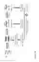 Fig. 02 - MiRNA targets