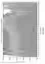 Fig. 19 - Bi-directional sequencing compositions and methods