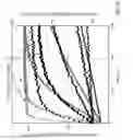 Fig. 48 - Bi-directional sequencing compositions and methods