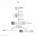 Fig. 08 - METHOD OF ANALYSIS OF COMPOSITION OF NUCLEIC ACID MIXTURES